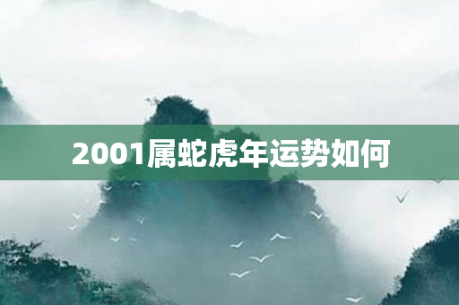 2001属蛇虎年运势如何
