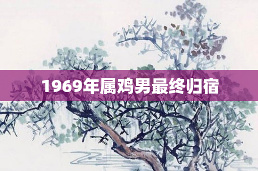 1969年属鸡男最终归宿