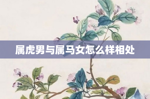 属虎男与属马女怎么样相处