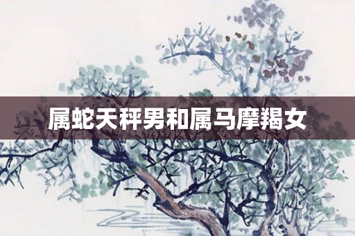 属蛇天秤男和属马摩羯女