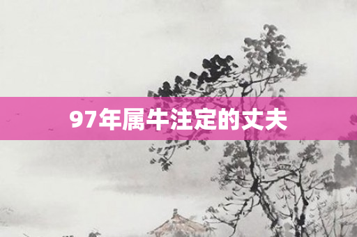 97年属牛注定的丈夫
