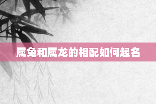 属兔和属龙的相配如何起名