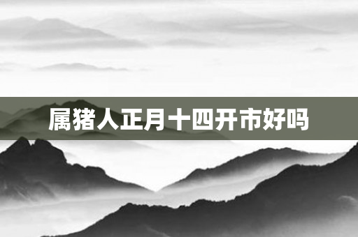 属猪人正月十四开市好吗