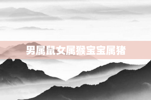 男属鼠女属猴宝宝属猪