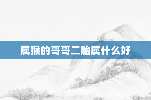 属猴的哥哥二胎属什么好