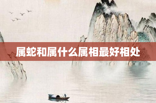 属蛇和属什么属相更好相处