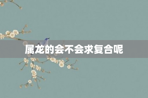 属龙的会不会求复合呢