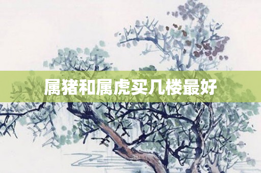 属猪和属虎买几楼更好