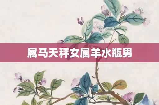 属马天秤女属羊水瓶男