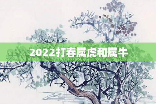 2022打春属虎和属牛