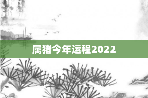 属猪今年运程2022