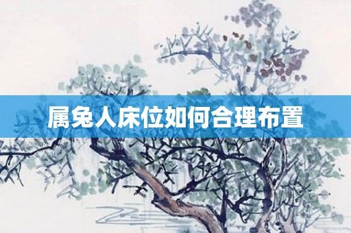 属兔人床位如何合理布置