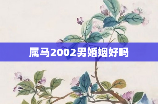 属马2002男婚姻好吗