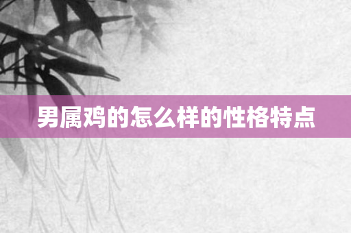 男属鸡的怎么样的性格特点