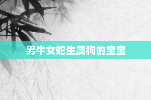 男牛女蛇生属狗的宝宝