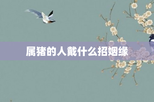 属猪的人戴什么招姻缘