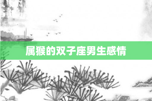 属猴的双子座男生感情