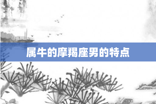 属牛的摩羯座男的特点