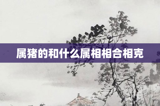 属猪的和什么属相相合相克