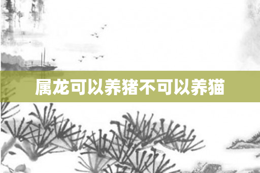 属龙可以养猪不可以养猫
