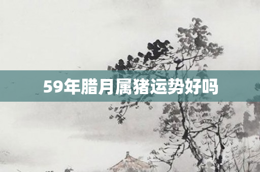 59年腊月属猪运势好吗