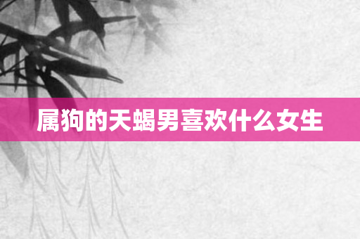 属狗的天蝎男喜欢什么女生