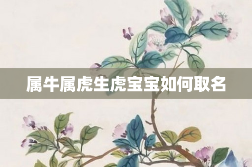 属牛属虎生虎宝宝如何取名