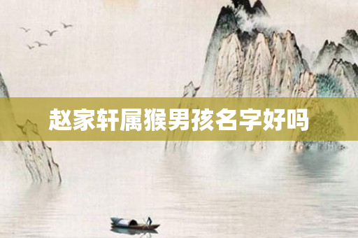 赵家轩属猴男孩名字好吗