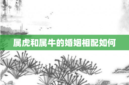 属虎和属牛的婚姻相配如何