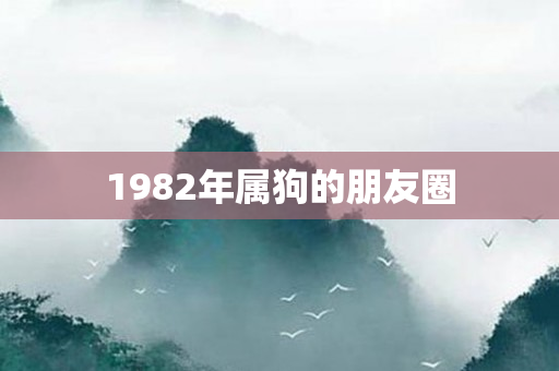 1982年属狗的朋友圈