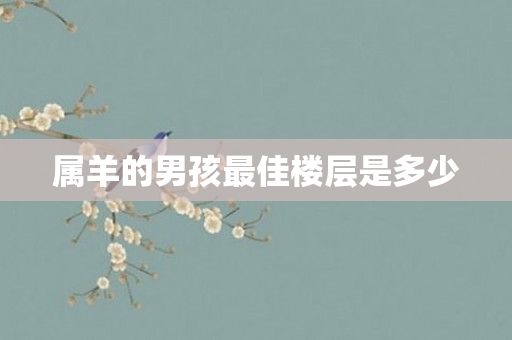 属羊的男孩更佳楼层是多少