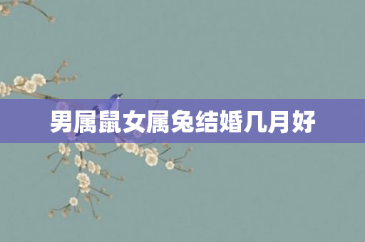 男属鼠女属兔结婚几月好