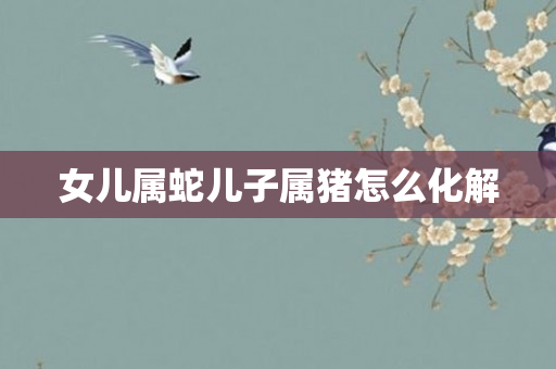 女儿属蛇儿子属猪怎么化解
