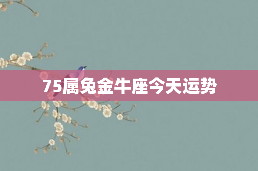 75属兔金牛座今天运势