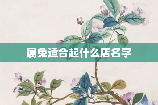 属兔适合起什么店名字