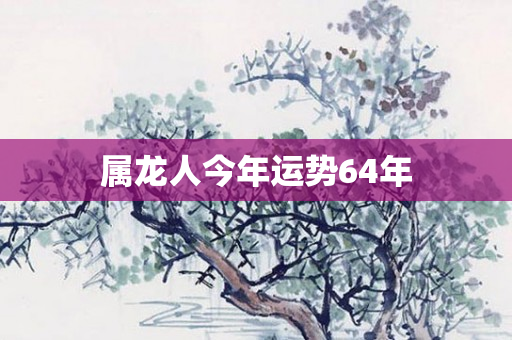 属龙人今年运势64年