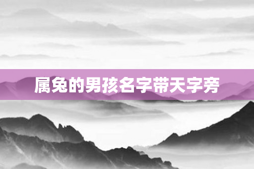 属兔的男孩名字带天字旁