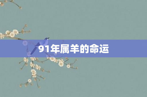 91年属羊的命运