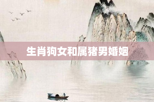 生肖狗女和属猪男婚姻