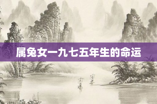 属兔女一九七五年生的命运