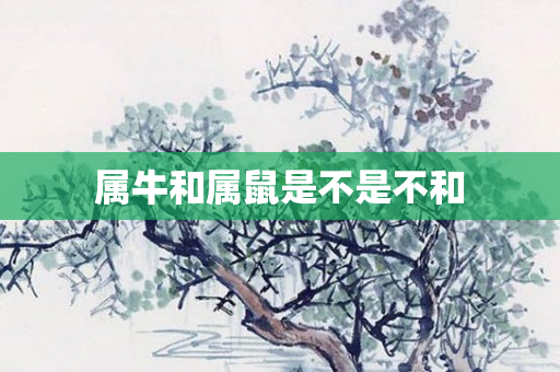 属牛和属鼠是不是不和