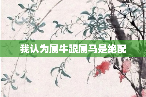我认为属牛跟属马是绝配