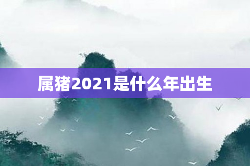 属猪2021是什么年出生