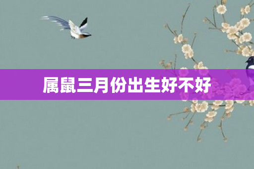 属鼠三月份出生好不好