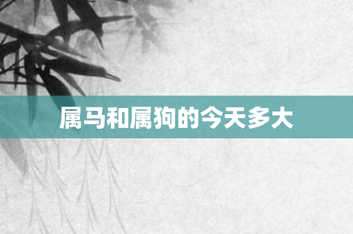 属马和属狗的今天多大