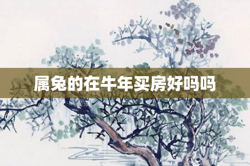 属兔的在牛年买房好吗吗
