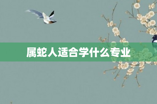 属蛇人适合学什么专业