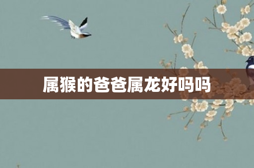 属猴的爸爸属龙好吗吗