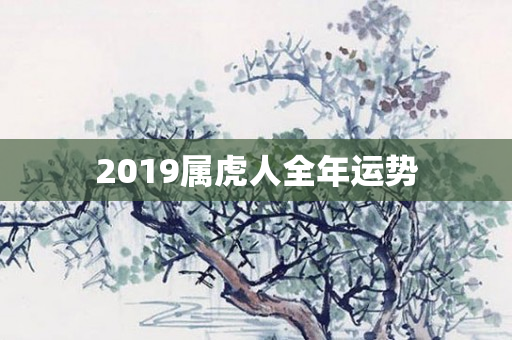 2019属虎人全年运势