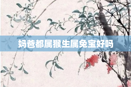 妈爸都属猴生属兔宝好吗
